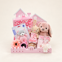 Luxury Baby Girl Welcome Gift Hamper with Plush Toys & Newborn Essentials