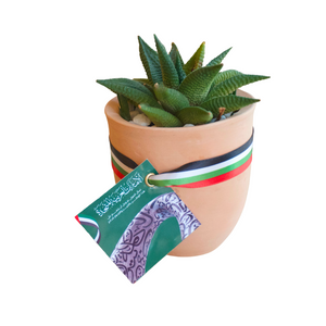 UAE National Day Eco friendly Gifts plant