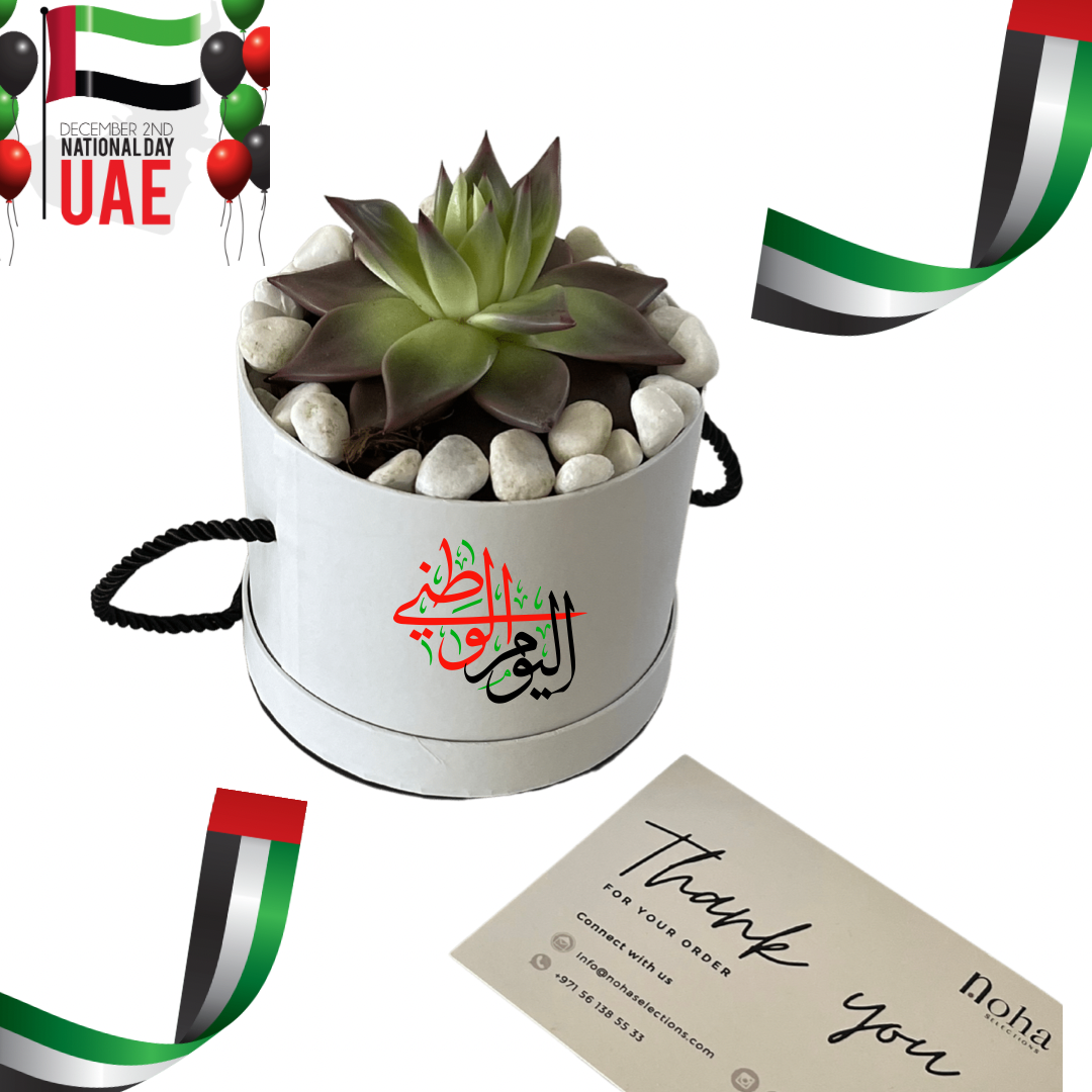 UAE Plant- National Day Gift Box